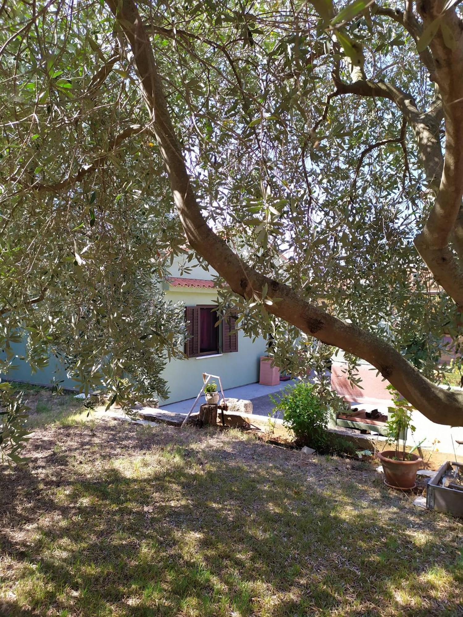 Apartmani Tara Medulin Luaran gambar